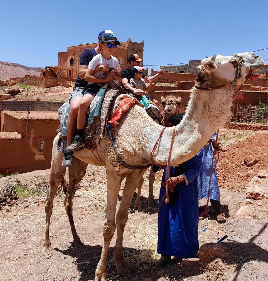 Bed and Breakfast Kasbah La Cigogne Ait Benhaddou Exteriér fotografie
